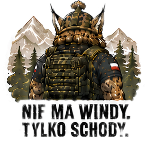 Naklejka Ryszard: NIE MA WINDY. TYLKO SCHODY.